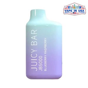 Blueberry Raspberry – Juice Bar JB5000